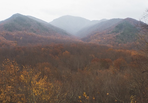 Smokies