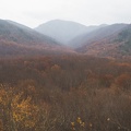 Smokies