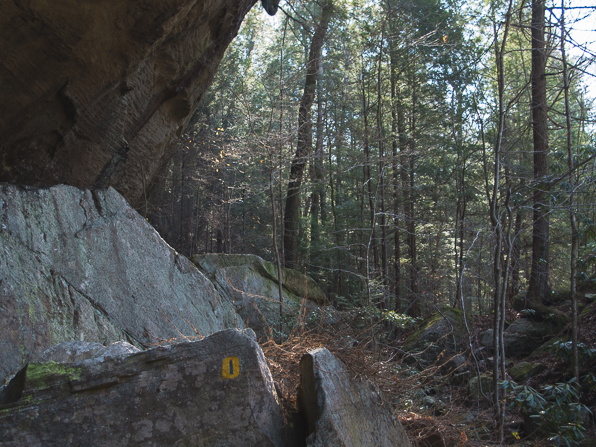 Sheltowee Trace