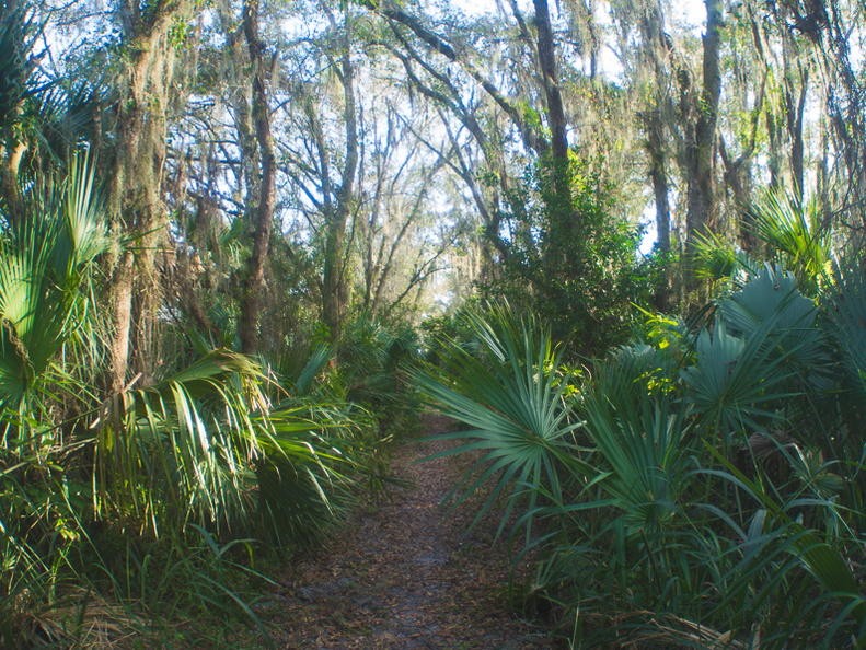 Dupuis Reserve