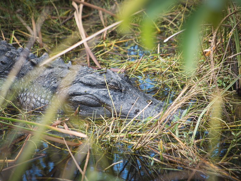 Everglades National Park