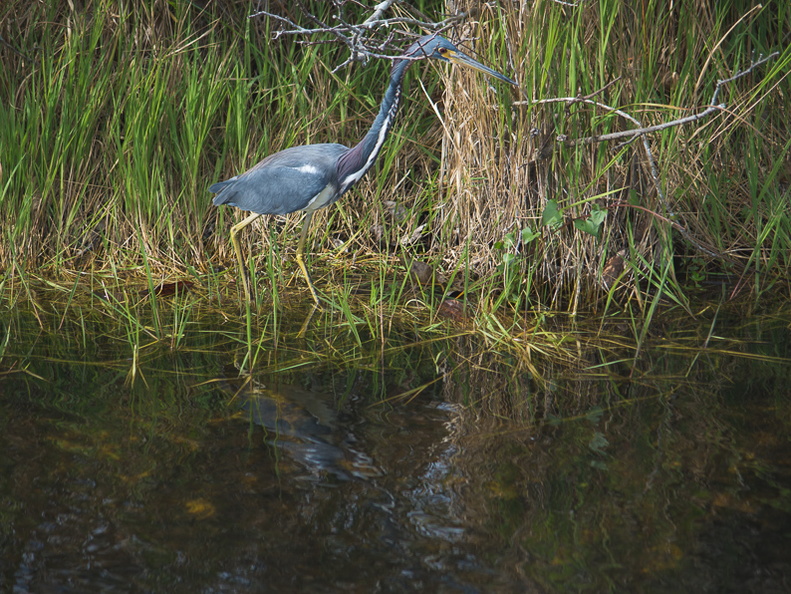 Everglades National Park