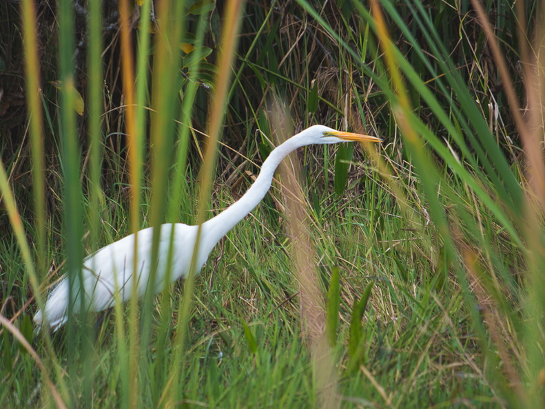 Everglades National Park