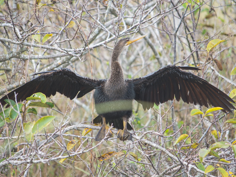 Everglades National Park