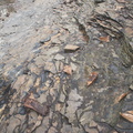 Pilot Knob shale underneath