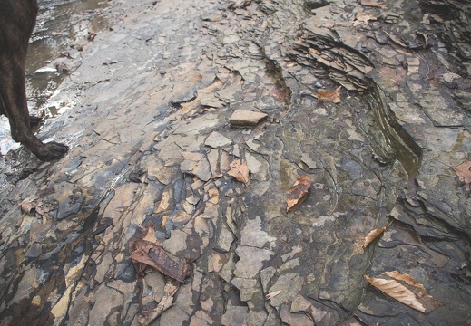 Pilot Knob shale underneath