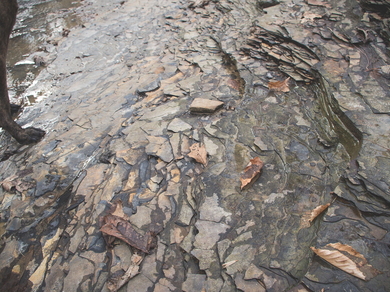 Pilot Knob shale underneath