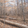 Pilot Knob trail