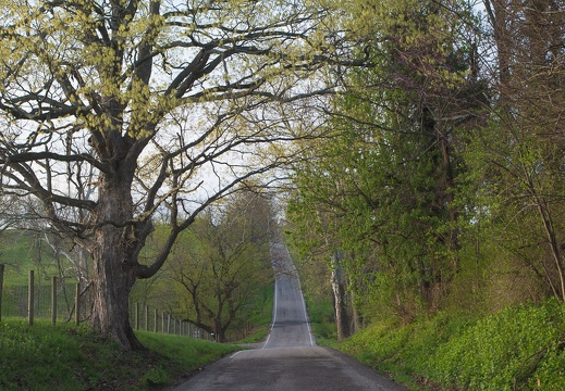 Jessamine County Rural Roads