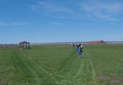 Talon Winery