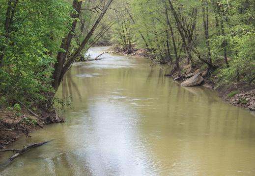 Mighty Red River