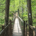 Suspension Bridge