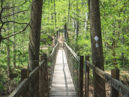 Suspension Bridge