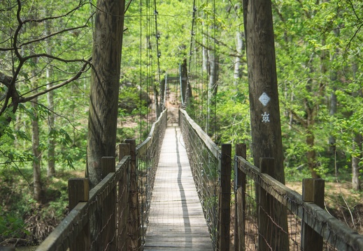 Suspension Bridge