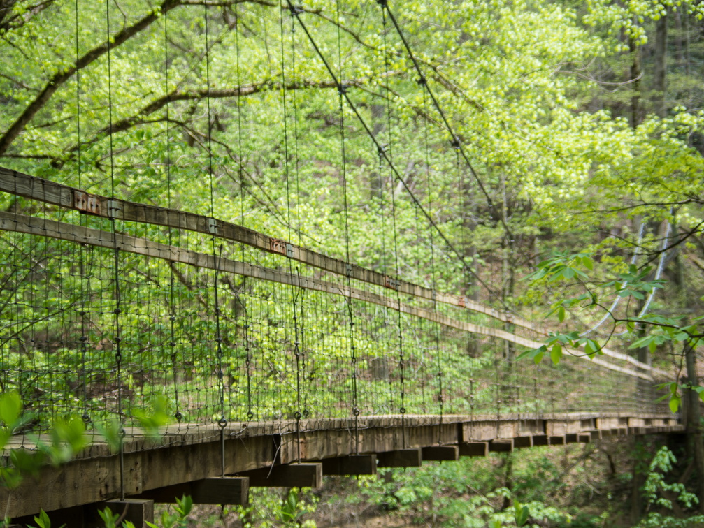 Suspension Bridge