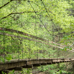 Suspension Bridge