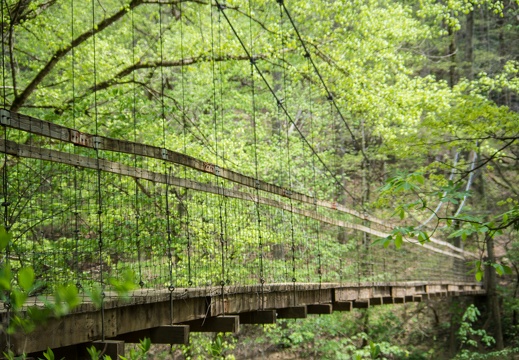 Suspension Bridge