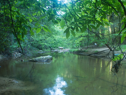 Swift Camp Creek