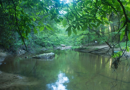 Swift Camp Creek