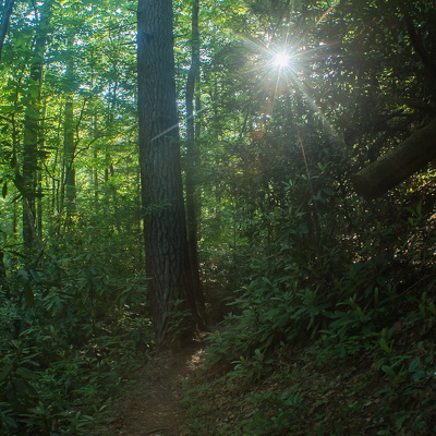 Swift Camp Creek, Memorial Weekend Trails