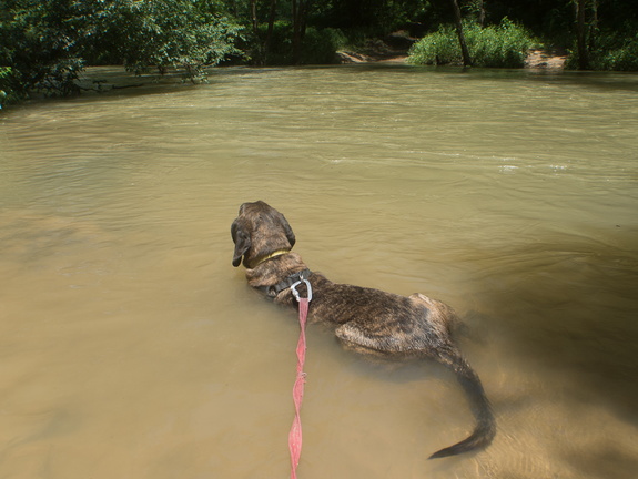 Horse Lick Creek ford