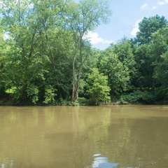 Rockcastle River ford at at old Wilderness Road