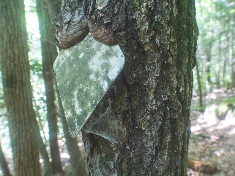 Old trail markings