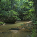 Hawk Creek Bridge