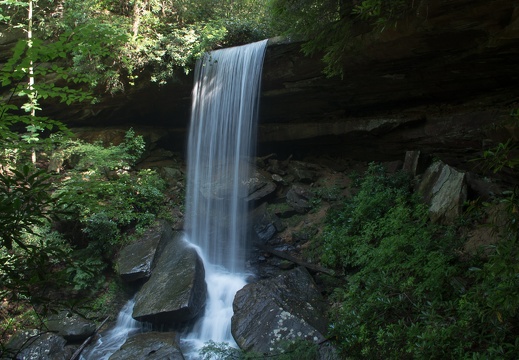 Pounder Branch and Van Hook Falls, Sheltowee Trace