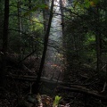 DSCN8938