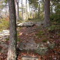 DSCN8986