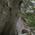 DSCN8794