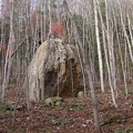 DSCN9912