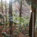 DSCN9947