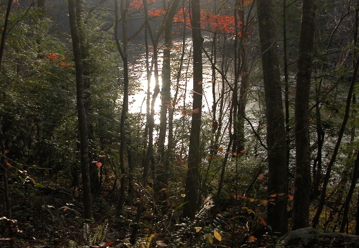 04 November 14: Bear Creek Loop, Split Bow Arch, Bear Creek OV, Big South Fork