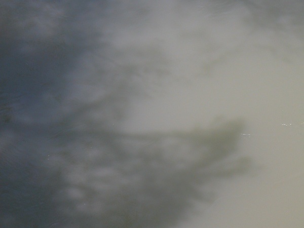 DSCN3131