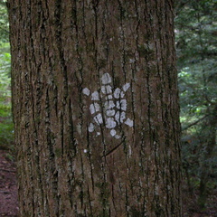 DSCN7914.JPG