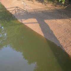 DSCN7964.JPG