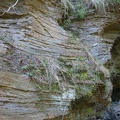 DSCN8372