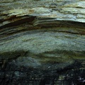 DSCN8376