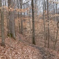 DSCN1685