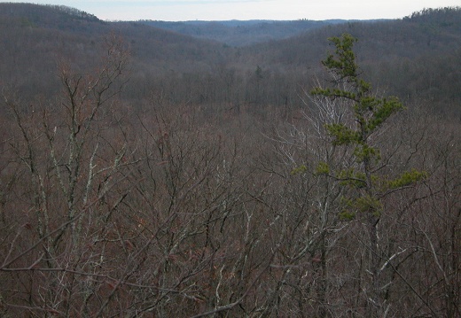 05 March 11: Gate Post Hill Arch, Sheltowee, at Cave Run