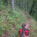 DSCN7302.JPG