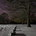 DSCN0508