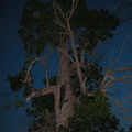 DSCN6159.JPG