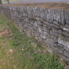 DSCN0662