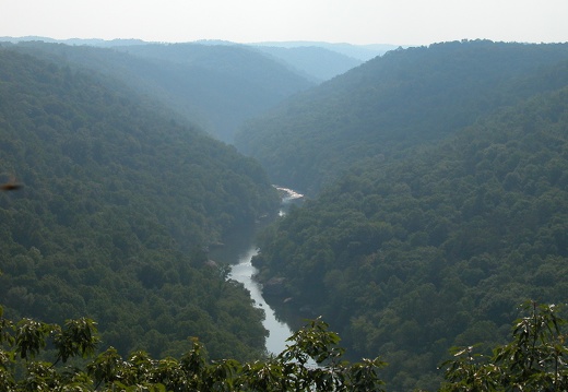 05 July 9: Cotton Patch Loop, Big South Fork