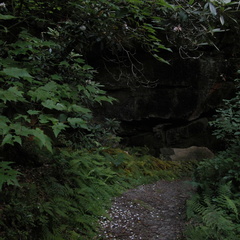 DSCN5425