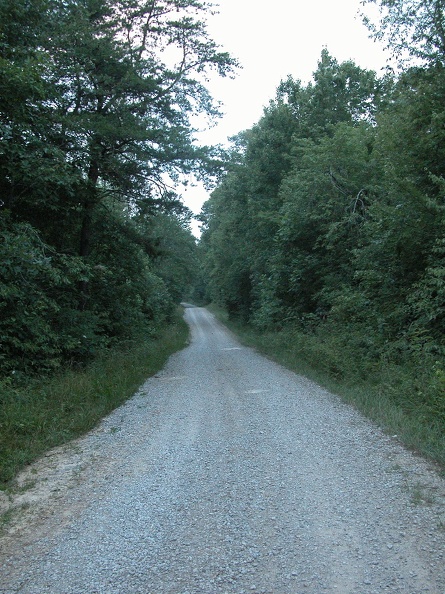 DSCN5452