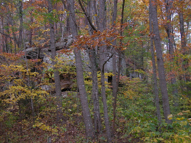 Pinnacle Knob - DSCN9285